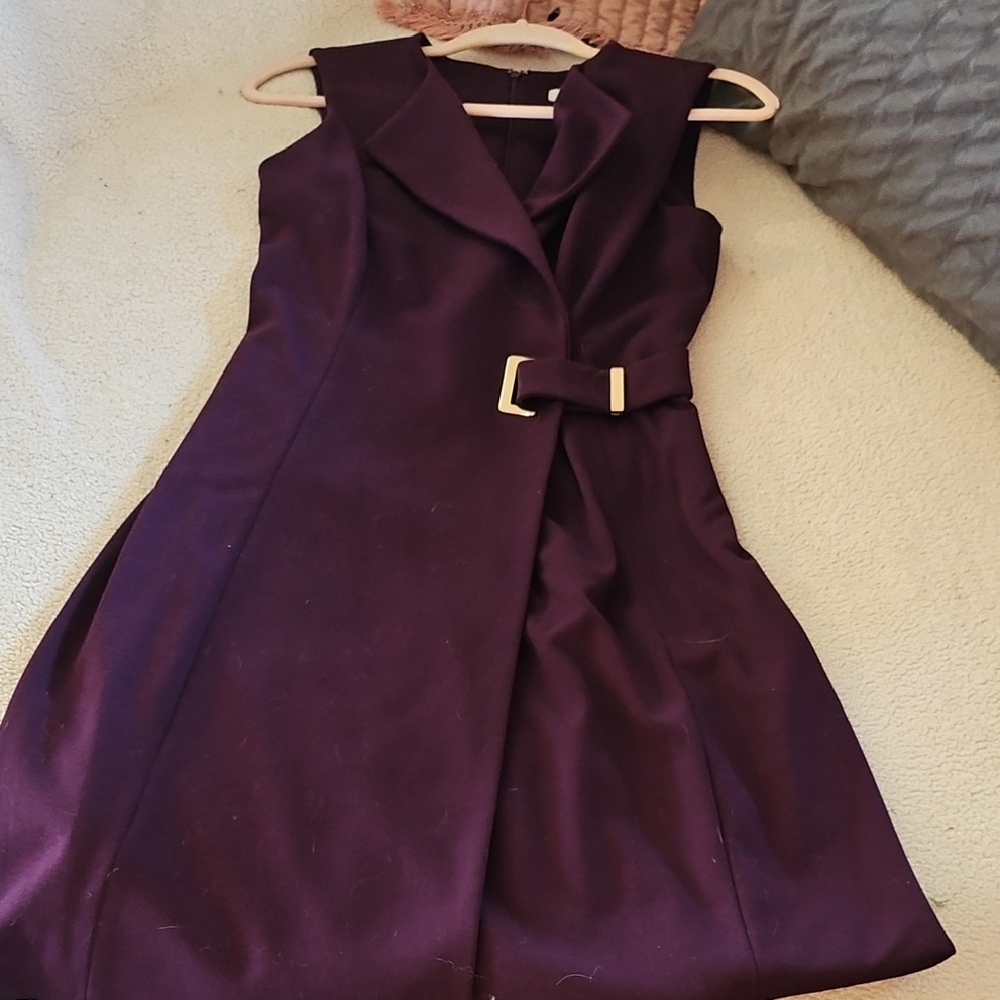 Elegant Purple Dress with Belt